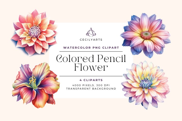 4 Watercolor Colored Pencil Flower Clipart example image 1