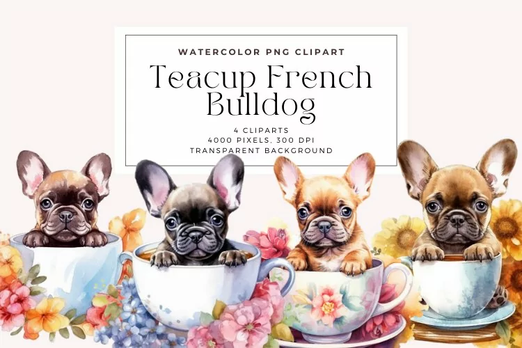 4 Watercolor Teacup French Bulldog Clipart