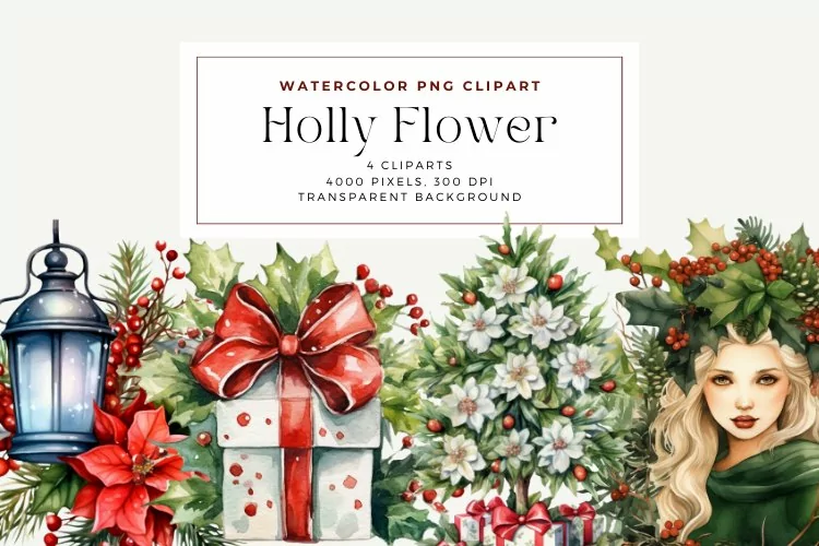 4 Watercolor Holly Flower Clipart