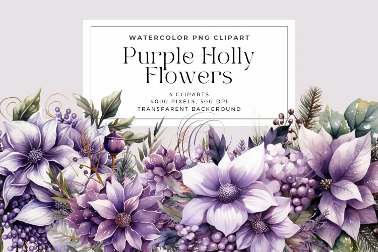 4 Watercolor Purple Holly Flowers Clipart