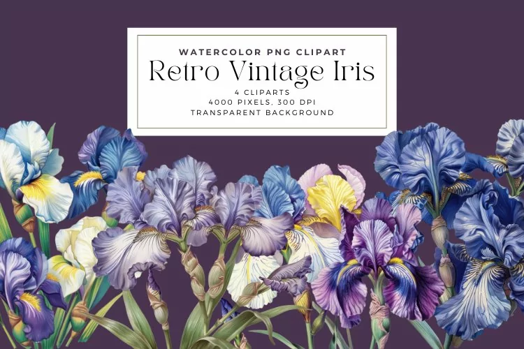 Watercolor Retro Vintage Iris Clipart
