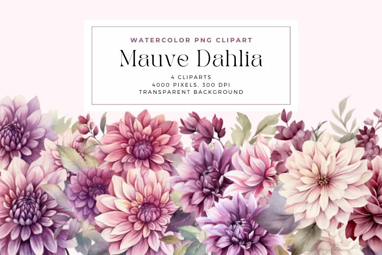 4 Watercolor Mauve Dahlia Clipart