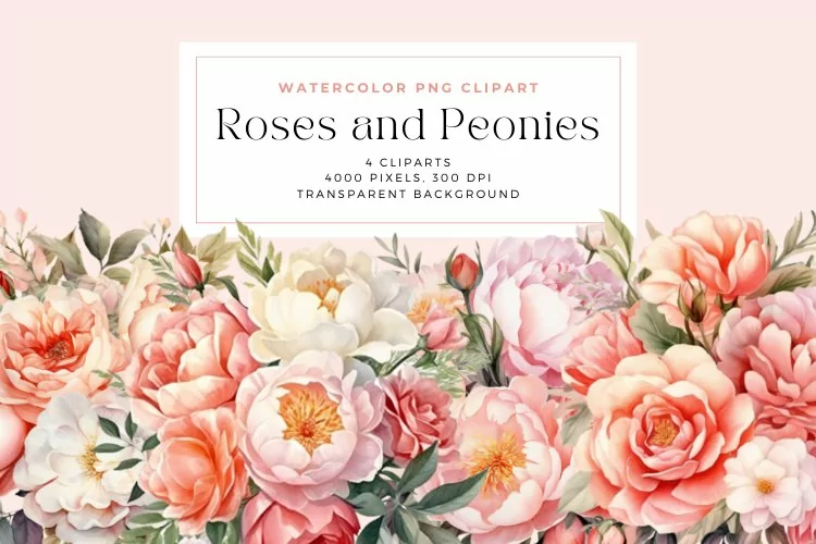 4 Watercolor Roses and Peonies Clipart
