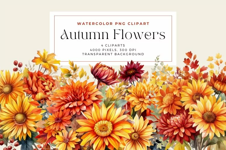 4 Watercolor Autumn Flowers Clipart