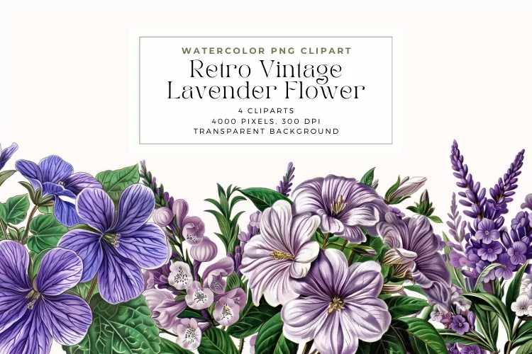 Watercolor Retro Vintage Lavender Flower Clipart
