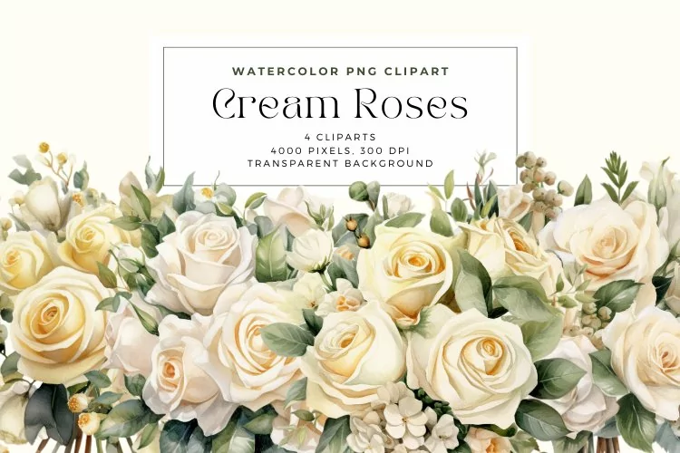 4 Watercolor Cream Roses Clipart