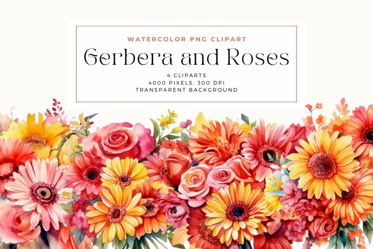 4 Watercolor Gerbera and Roses Clipart
