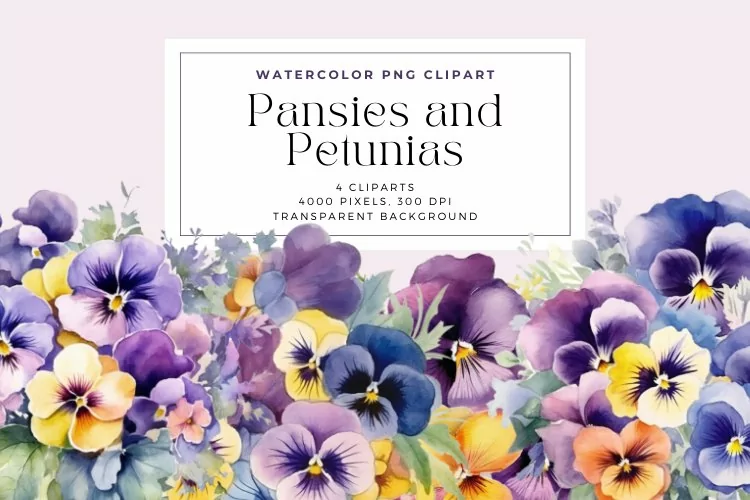 4 Watercolor Pansies and Petunias Clipart