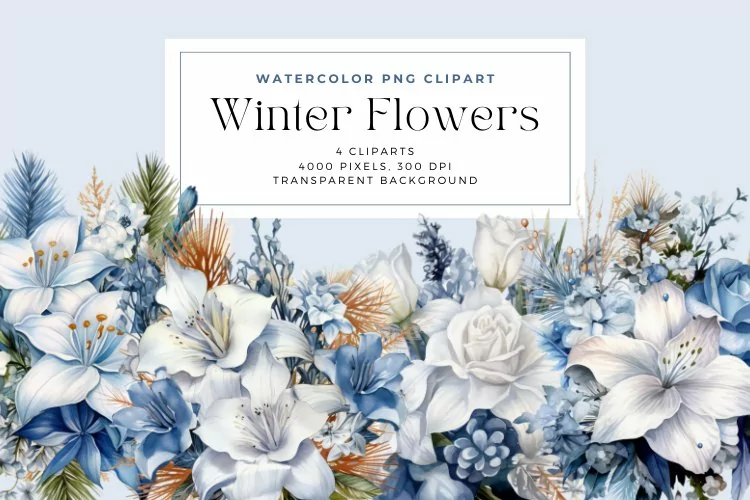 4 Watercolor Winter Flowers Clipart