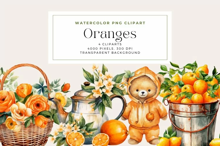 4 Watercolor Oranges Clipart