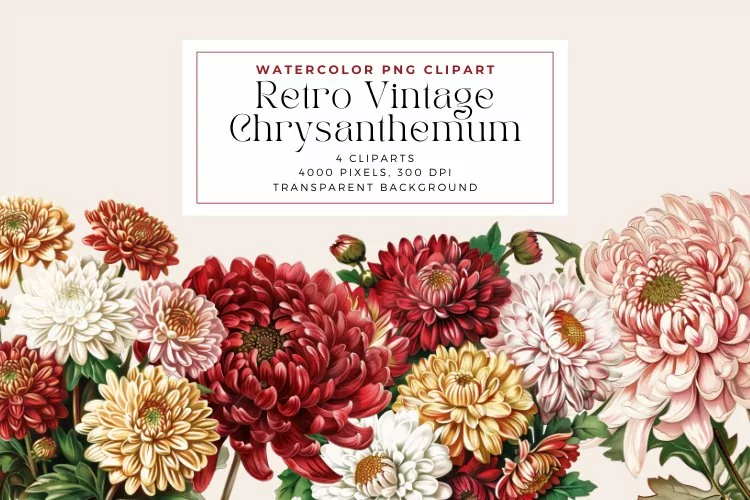 Watercolor Retro Vintage Chrysanthemum Clipart