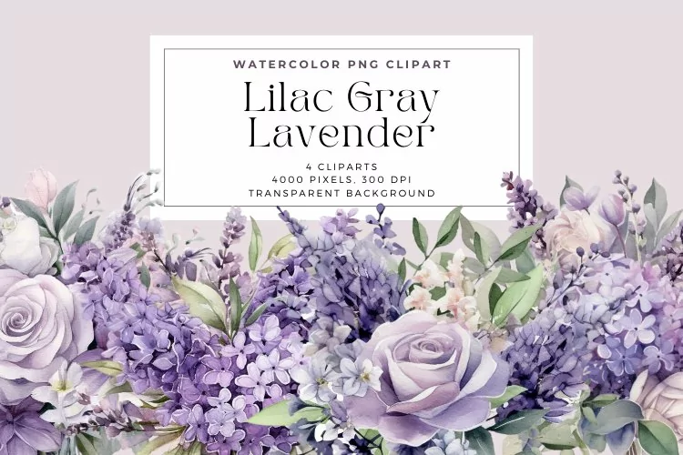 4 Watercolor Lilac Gray Lavender Clipart