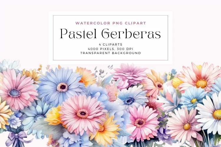 4 Watercolor Pastel Gerberas Clipart