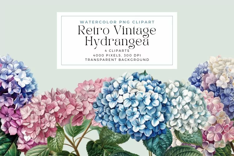 Watercolor Retro Vintage Hydrangea Clipart