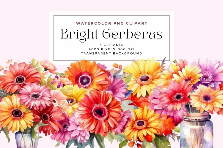4 Watercolor Bright Gerberas Clipart