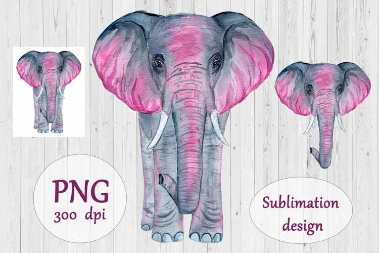 Watercolor Colorful Elephant Sublimation Design - Animal PNG