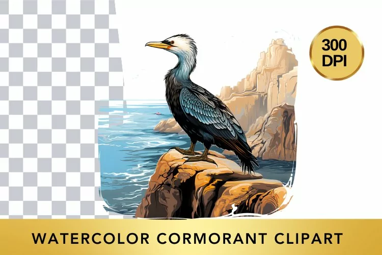 Watercolor cormorant Clipart , Animal Sublimation PNG