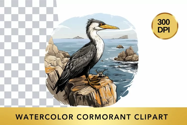 Watercolor cormorant Clipart , Animal Sublimation PNG