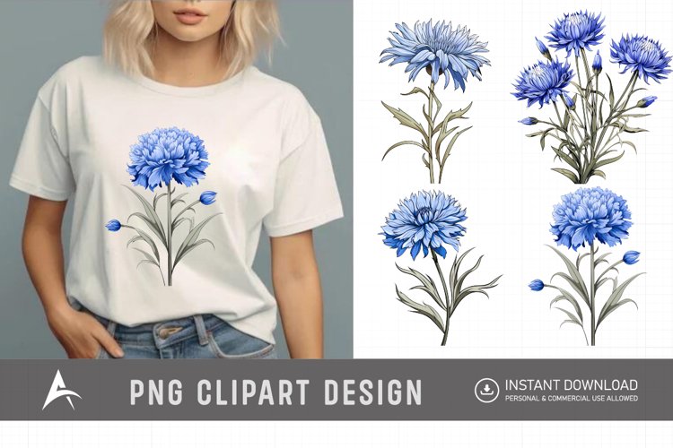 Watercolor Cornflowers Clipart