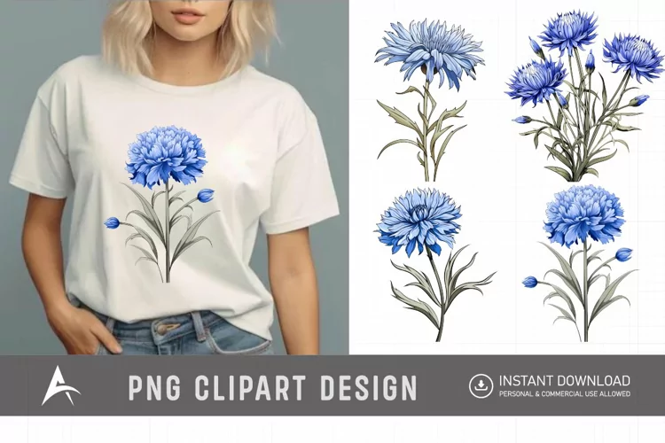 Watercolor Cornflowers Clipart