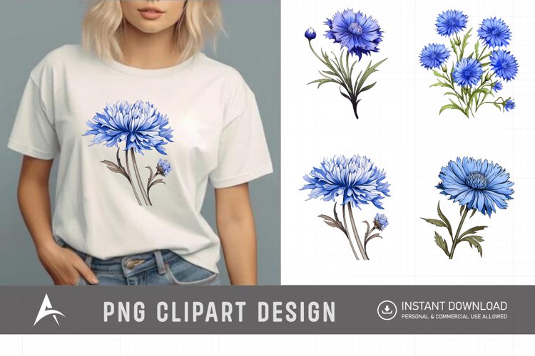 Watercolor Cornflowers Clipart