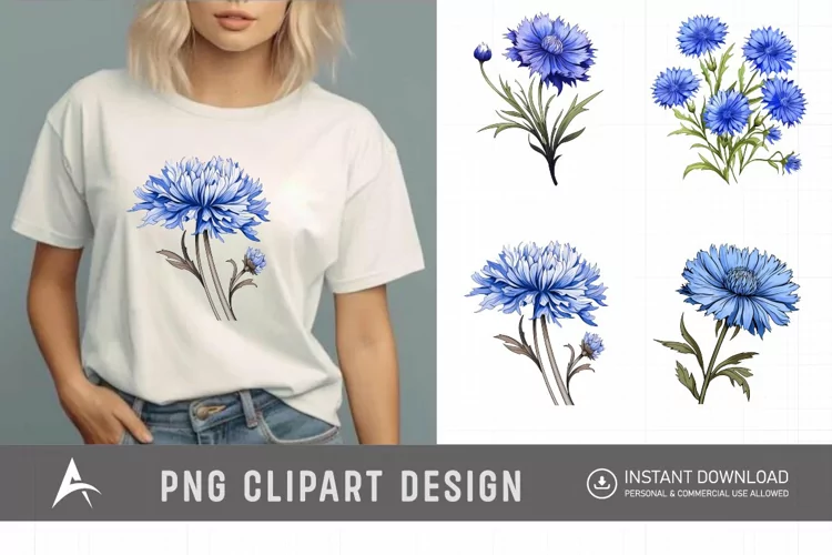 Watercolor Cornflowers Clipart