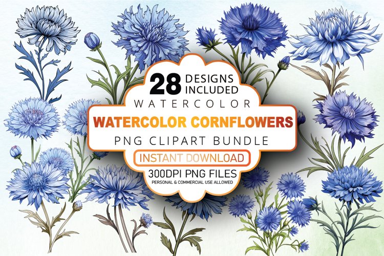 Wildflower Illustration Image 16
