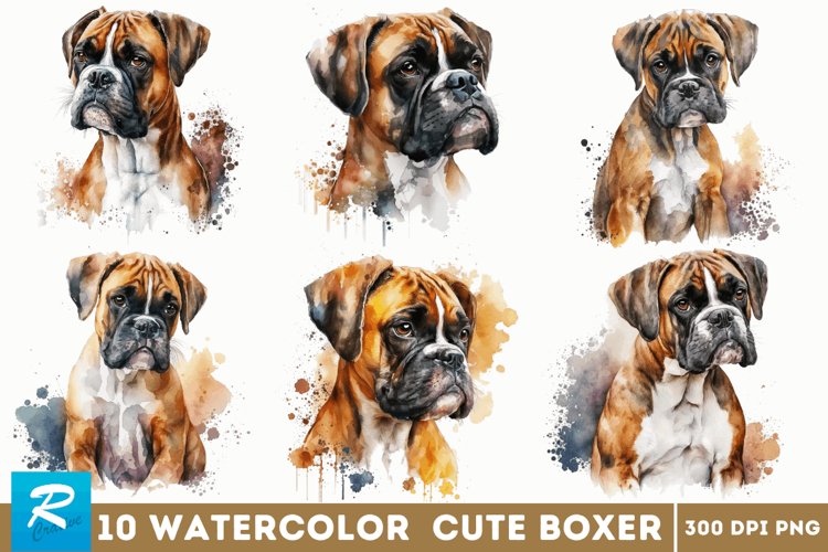 Boxer PNGs