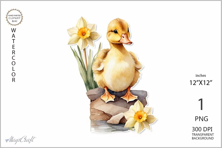 Cute duckling with daffodil png| Spring watercolor|flora
