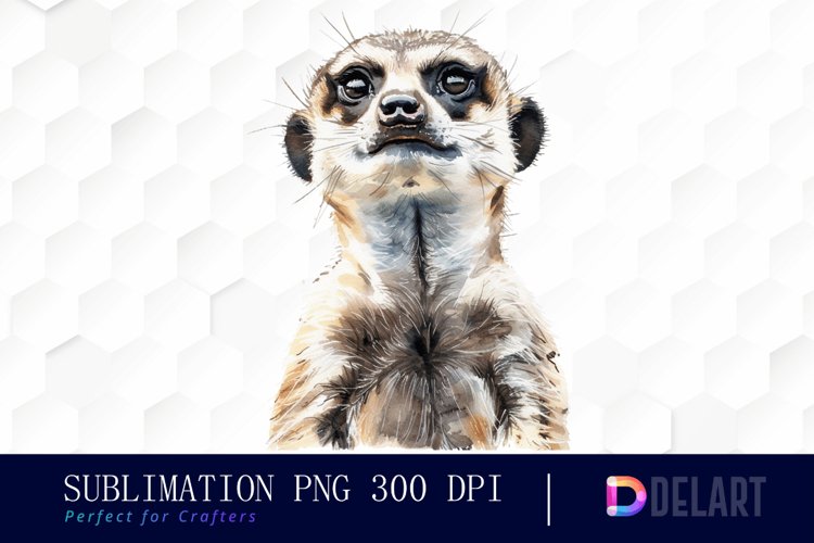 Meerkat Clipart Image 24