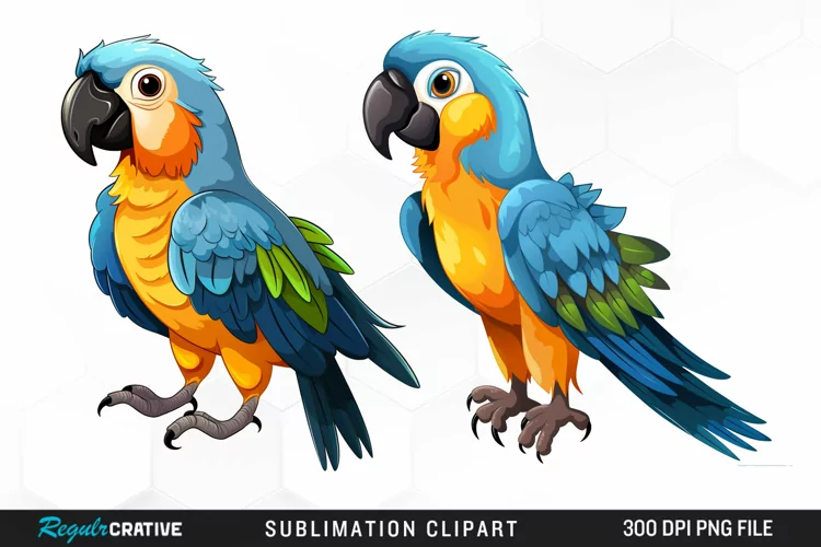 Watercolor Cute Parrot Clipart