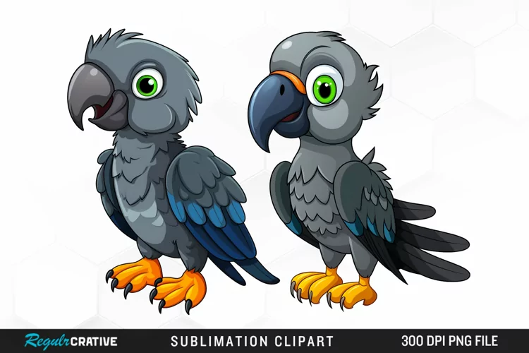 Cute Parrot Sublimation PNG Clipart