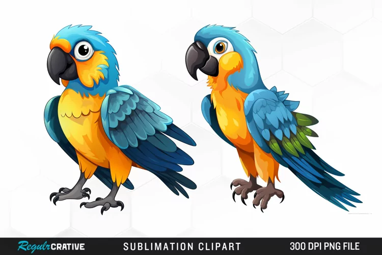 Watercolor Cute Parrot Clipart