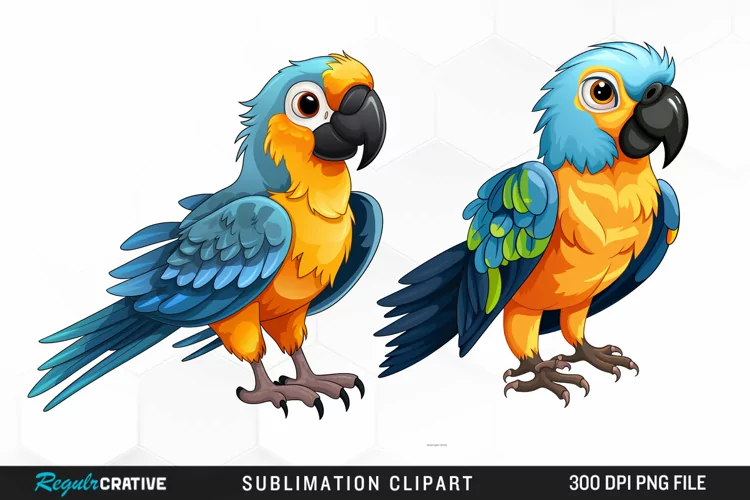 Watercolor Cute Parrot Clipart