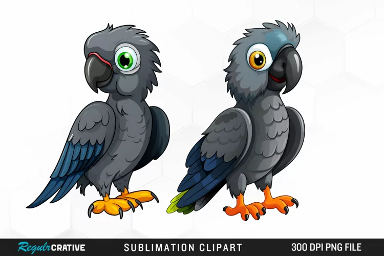 Cute Parrot Sublimation PNG Clipart