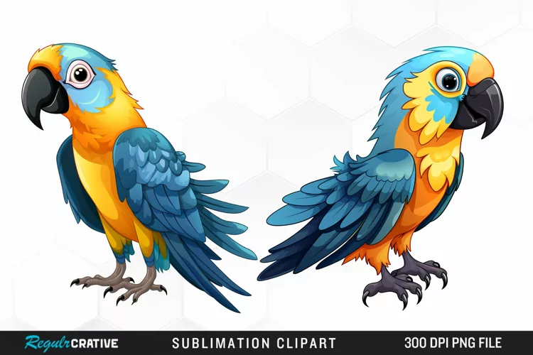 Watercolor Cute Parrot Clipart