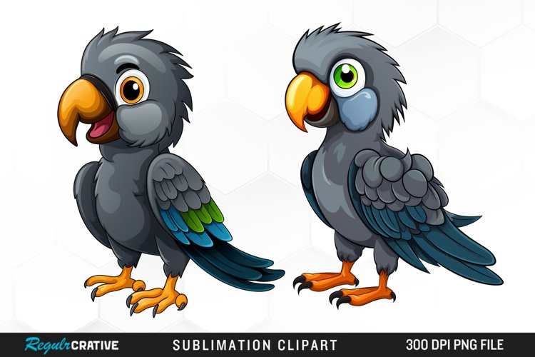 Parrot Png Image 6