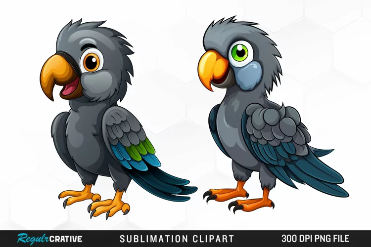 Cute Parrot Sublimation PNG Clipart