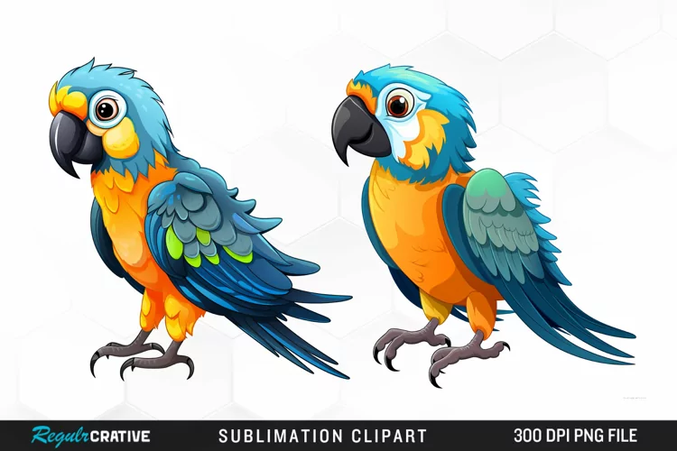 Watercolor Cute Parrot Clipart
