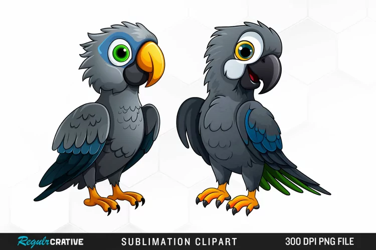 Cute Parrot Sublimation PNG Clipart