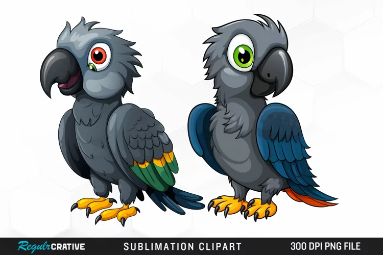Cute Parrot Sublimation PNG Clipart