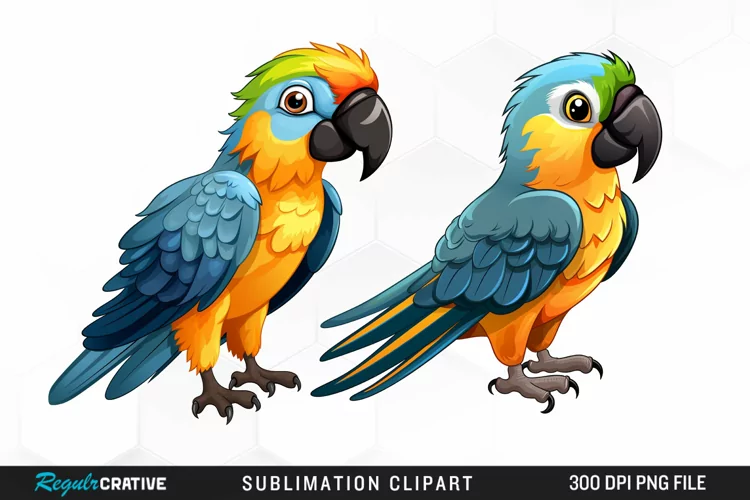 Watercolor Cute Parrot Clipart