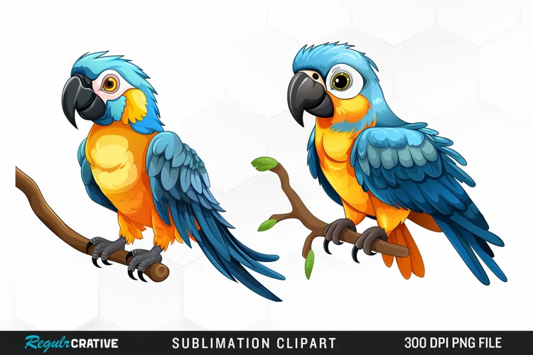 Watercolor Cute Parrot Clipart