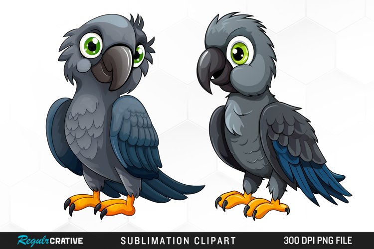Parrot Png Image 7