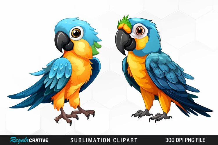Watercolor Cute Parrot Clipart