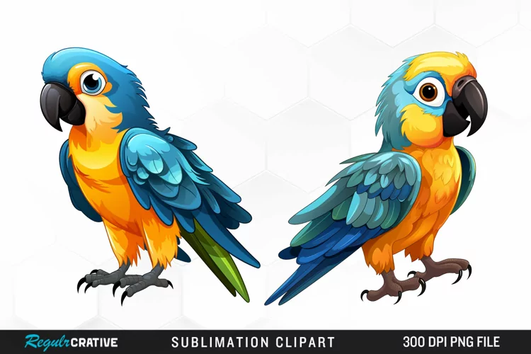 Watercolor Cute Parrot Clipart