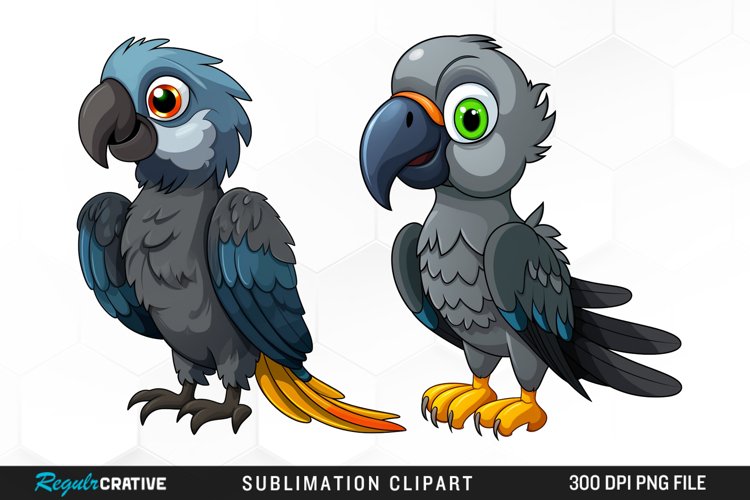 Parrot Png Image 23