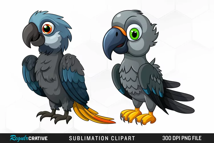 Cute Parrot Sublimation PNG Clipart