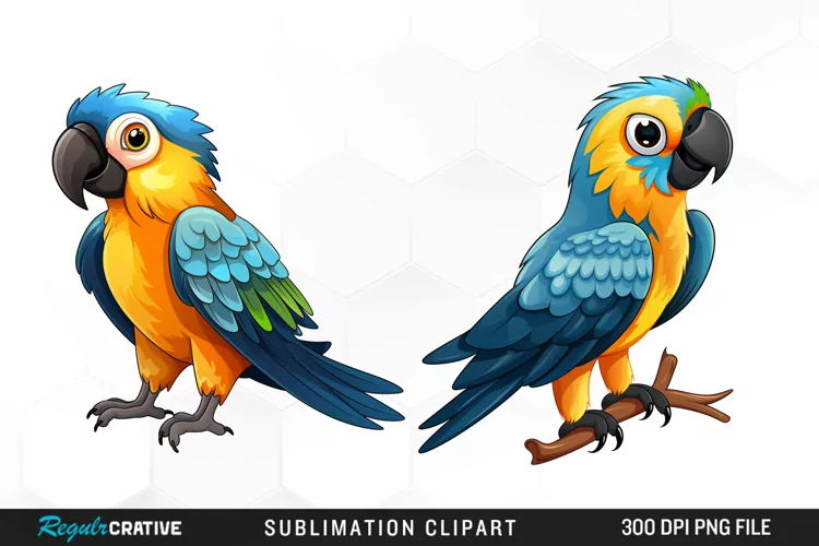 Watercolor Cute Parrot Clipart