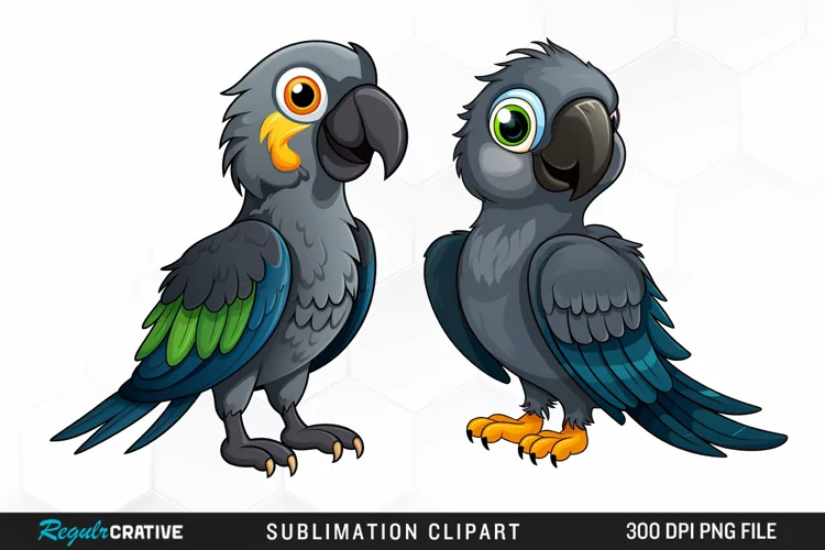 Cute Parrot Sublimation PNG Clipart